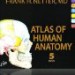 Comparing the Best Human Anatomy Atlases